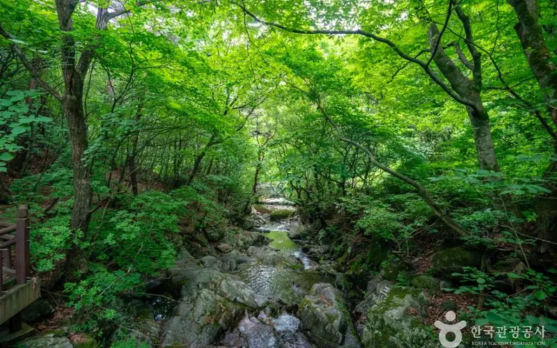 죽계구곡 사진
