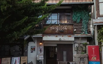 까멜리아 인 구룡포 — 포항 카페