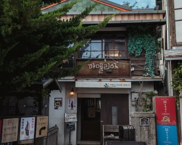 까멜리아 인 구룡포 사진