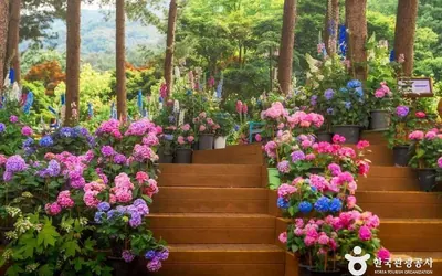 아침고요수목원 — 가평 관광지