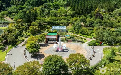 홍천 무궁화수목원 — 홍천 관광지