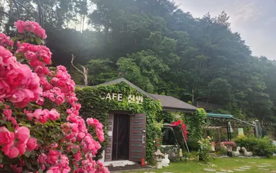 카페 진안 — 진안 카페