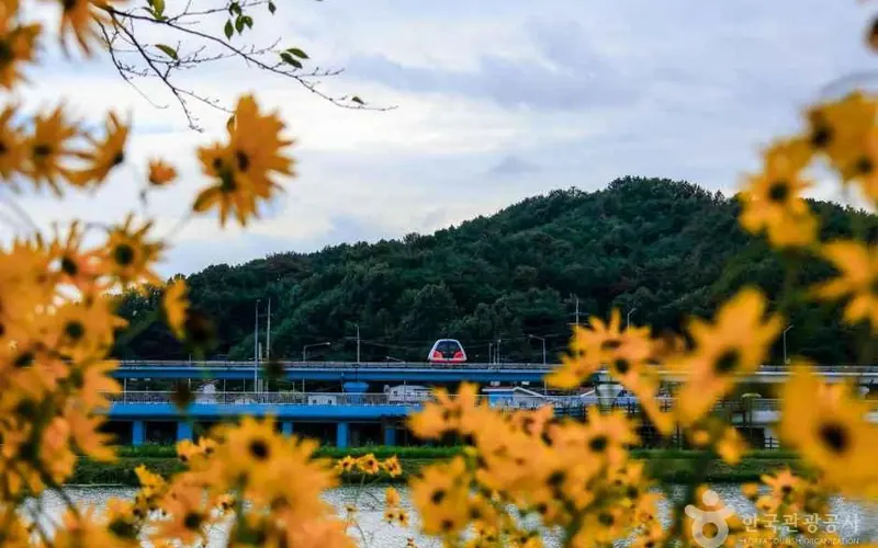 순천만국가정원 사진