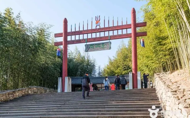 죽녹원 대나무숲 사진