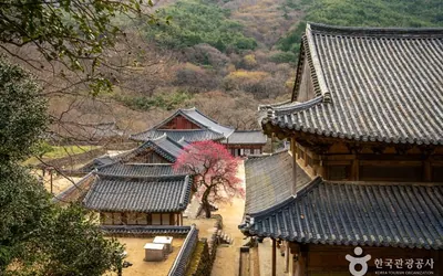 화엄사 — 구례 관광지