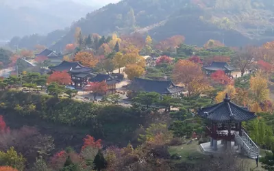 청풍문화재단지 — 제천 관광지