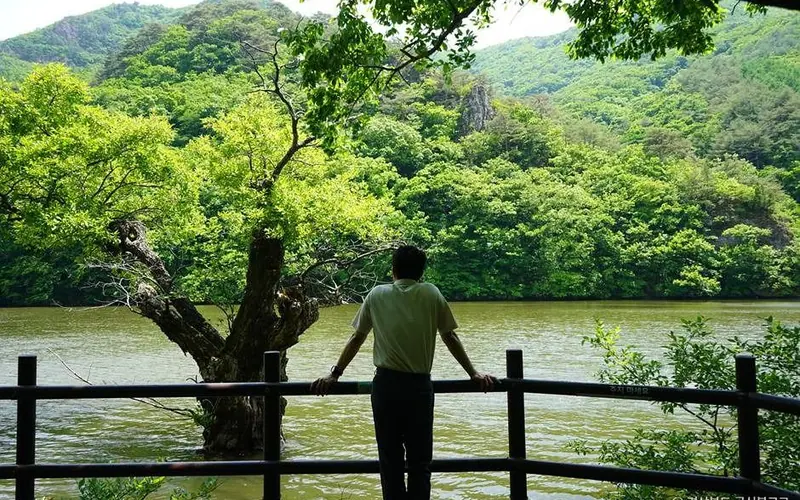 주산지 사진