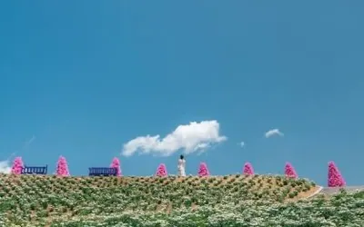 허브아일랜드 불빛동화축제 — 포천 관광지