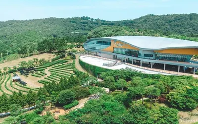 봇재 그린다향 — 보성 카페