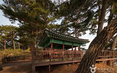 죽도정 전망대 — 양양 관광지