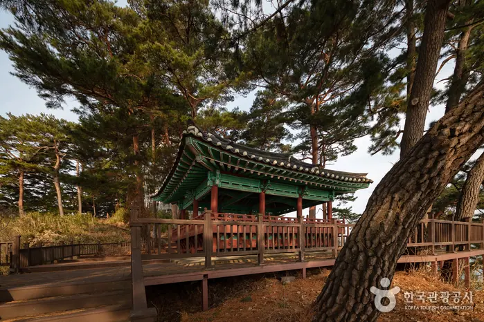 죽도정 전망대 사진
