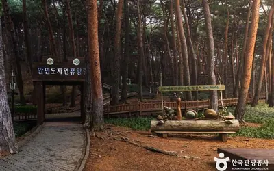 태안 대표 여행지 사진
