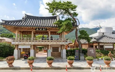강진 대표 여행지 사진