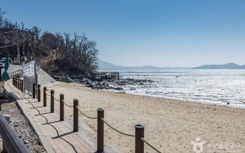 동막해변 갯벌체험 사진
