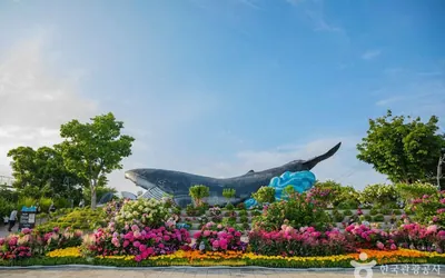 울산 대표 여행지 사진