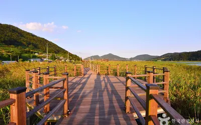 여수 가사리 생태공원 — 여수 관광지