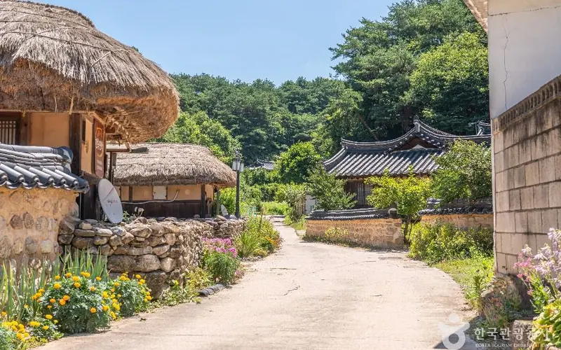 무섬마을 외나무다리 사진