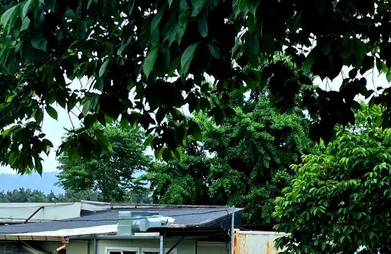 정록쌈밥 사진