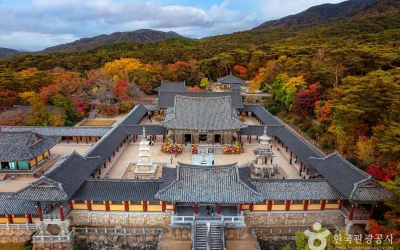 불국사 사진