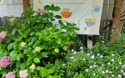 카페 AAM — 진주 카페