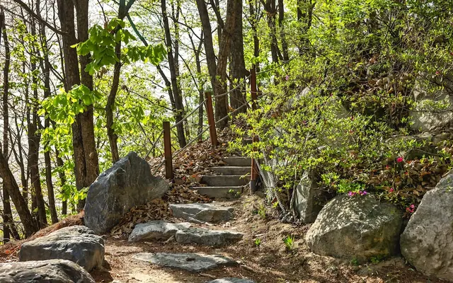 켄싱턴리조트 충주 전망