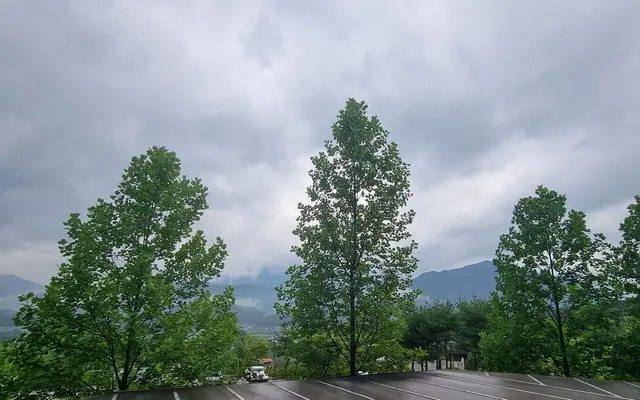 문경새재리조트 — 문경 리조트