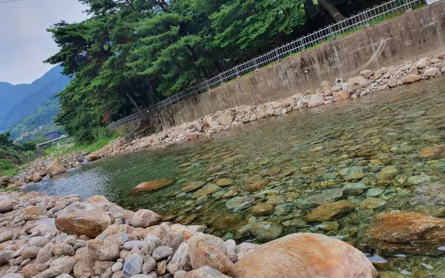 구례 지리산나무향기펜션 수영장