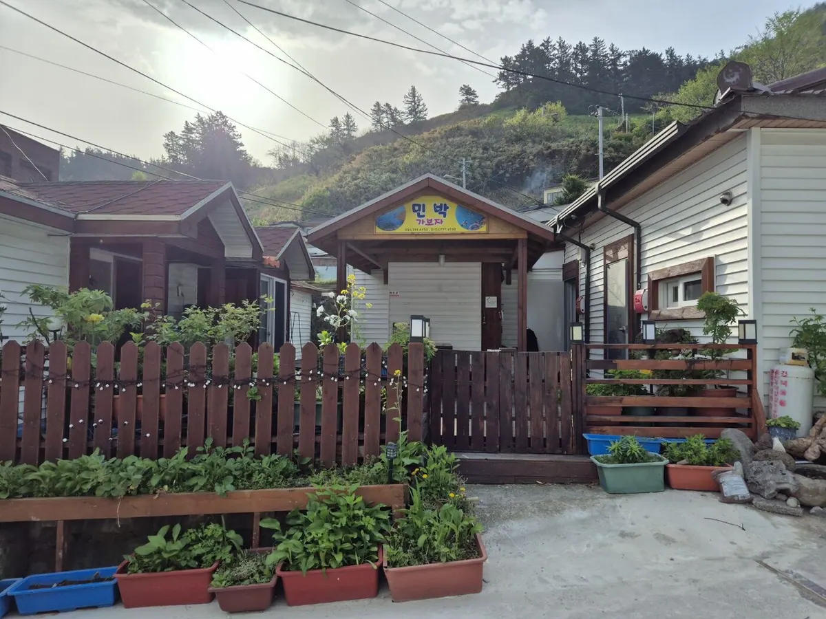 울릉도 가보자펜션민박 대표 사진
