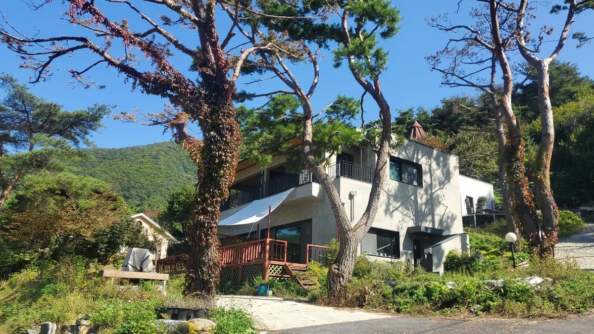 단양 갤러리하우스펜션 대표 사진
