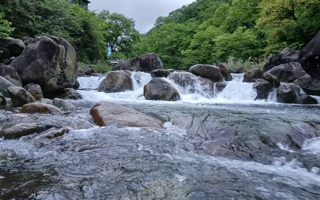 하동 다옴펜션 수영장