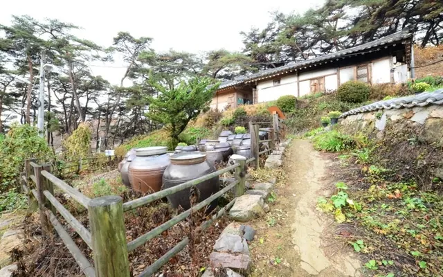안동 이상루 고택 전망