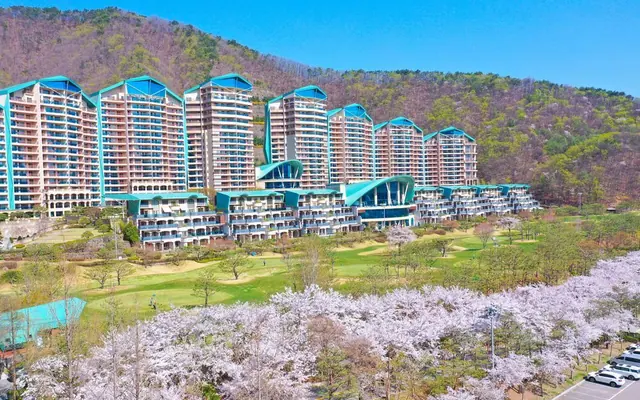 소노펠리체 비발디파크 — 홍천 기타