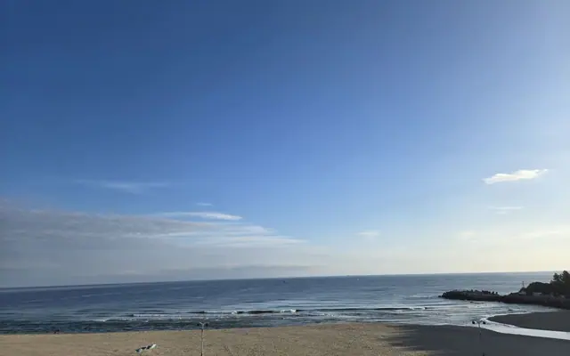 양양 알프스비치 객실