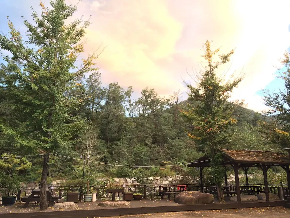 스마일 리조트 전망