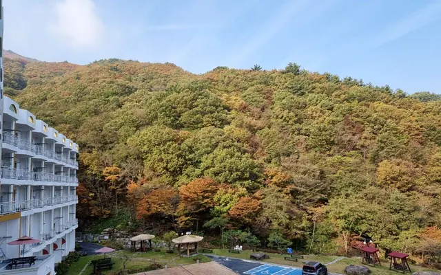 구례 준성리조트 — 구례 리조트