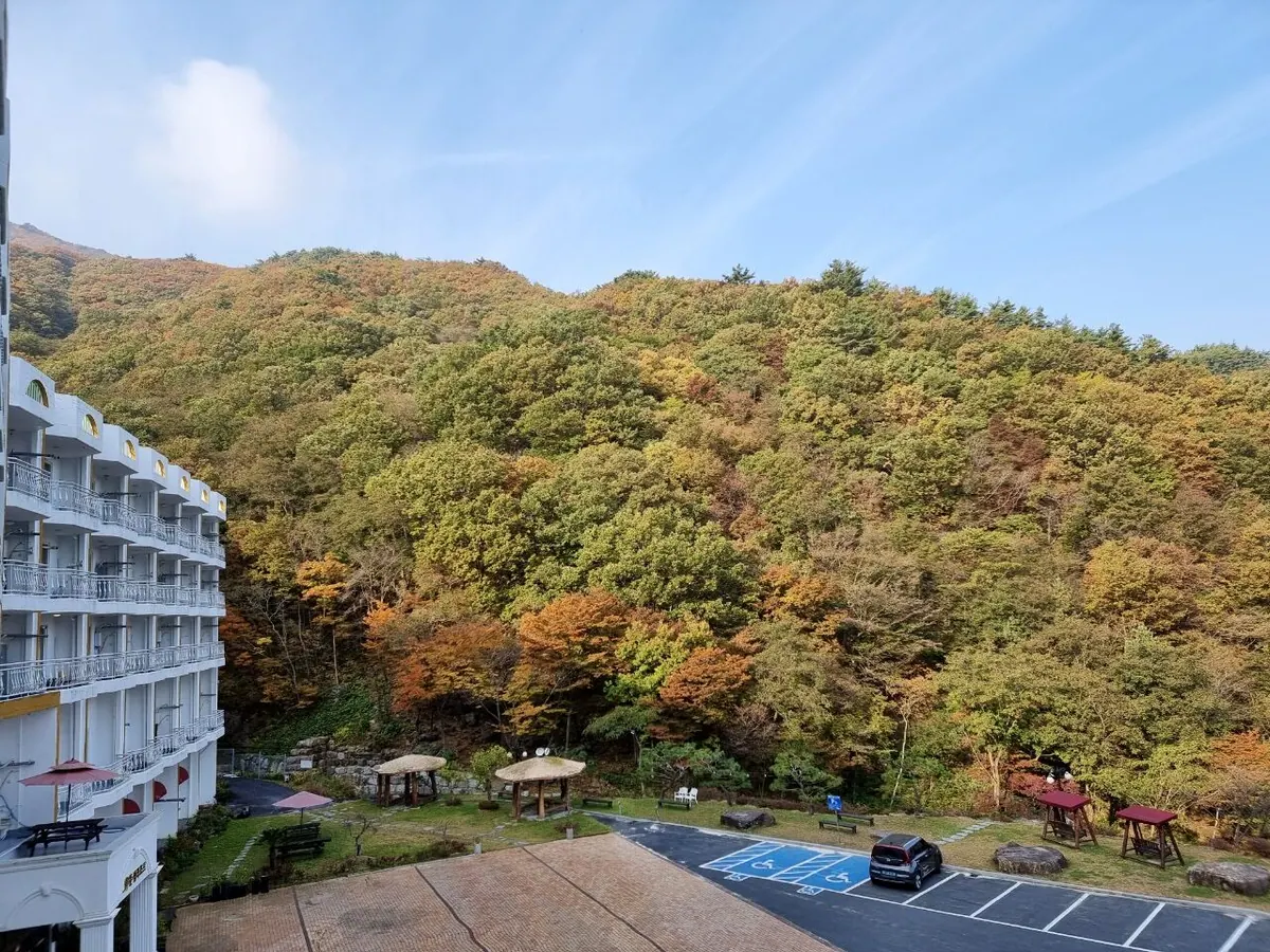 구례 준성리조트 대표 사진
