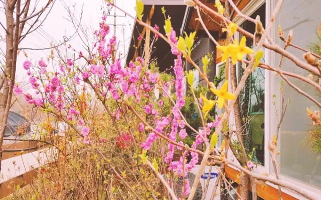 양평 코지펜션 전망