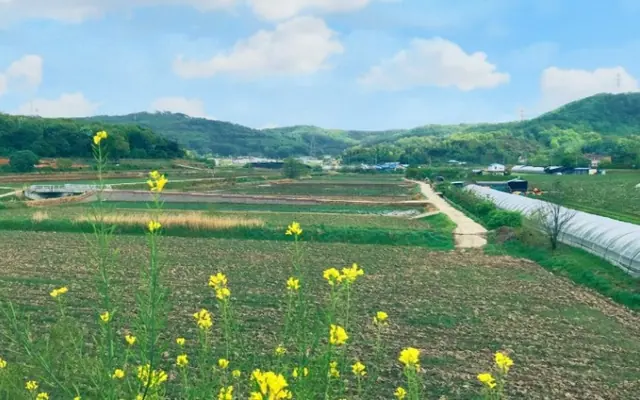 아산 글램핑캠핑장 전망