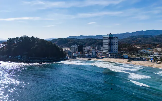 서프리조트 제이디 전망