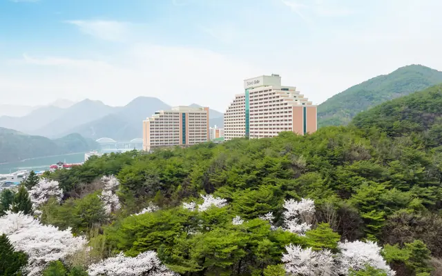 소노벨 단양 East 전망