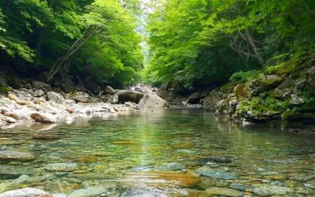 남원 달달궁2펜션 수영장