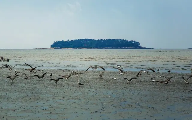 부안(변산반도) 스테이리조트 전망