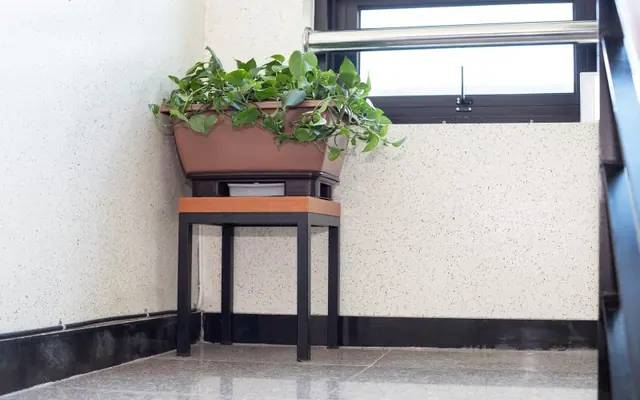 삼척 노마드펜션(장호항, 해상케이블카) 욕실