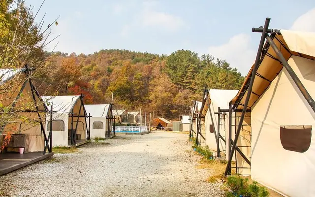 glamping board — 부여 기타