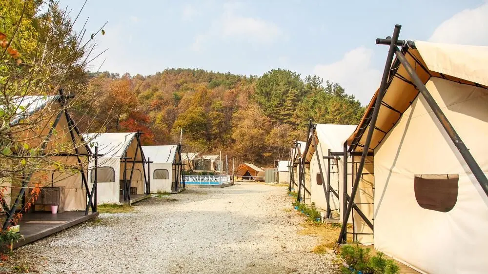glamping board 대표 사진