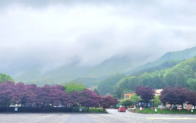 무주 다숲펜션 전망