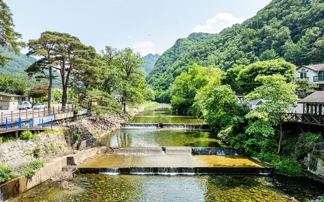 단양 꽃들의물감찾기펜션 수영장