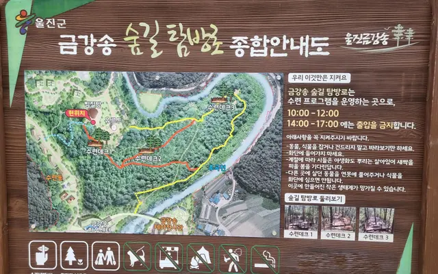 금강송 에코리움 객실
