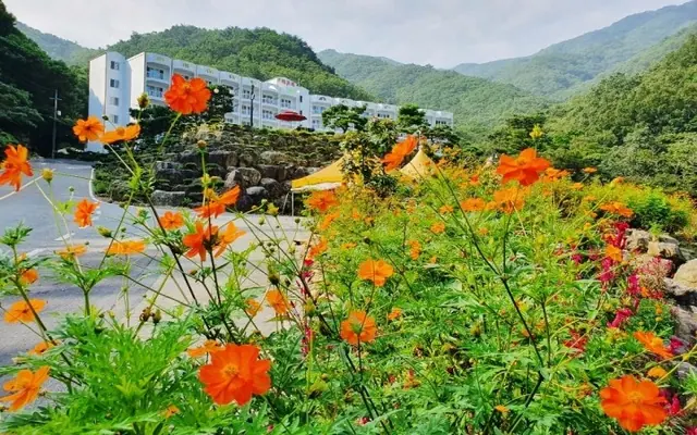 구례 준성리조트 전망