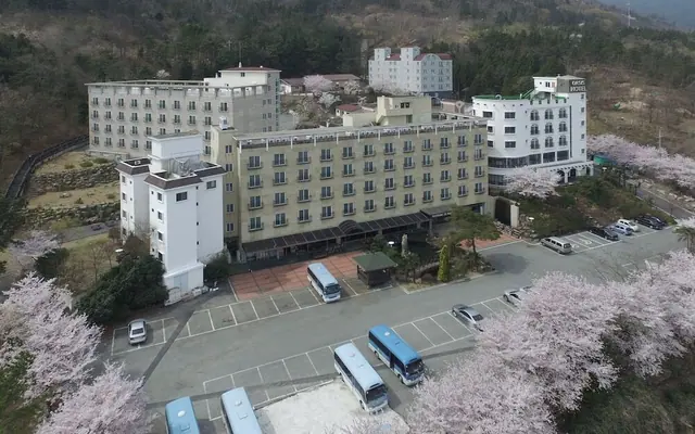 거제 오아시스 호텔 — 거제 호텔